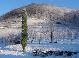 ... und im Winter ... und im Winter